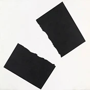 2019 887 in1