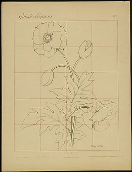 Ce 2005 01 02 in1