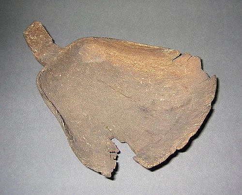 Ce 2005 119 in1