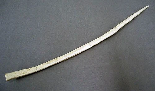 Ce 2005 161 in1
