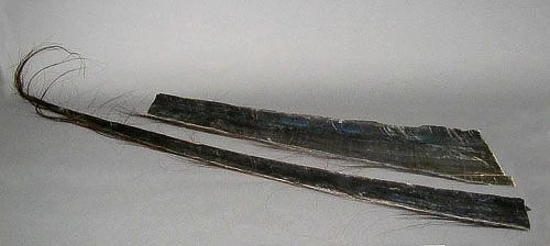 Ce 2005 247 in1