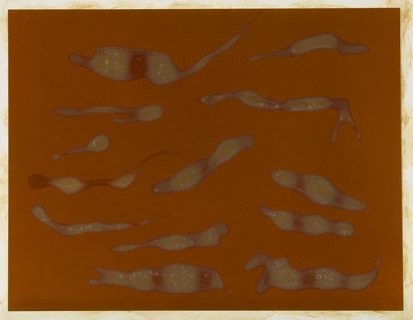 Ce 2011 1179 in1