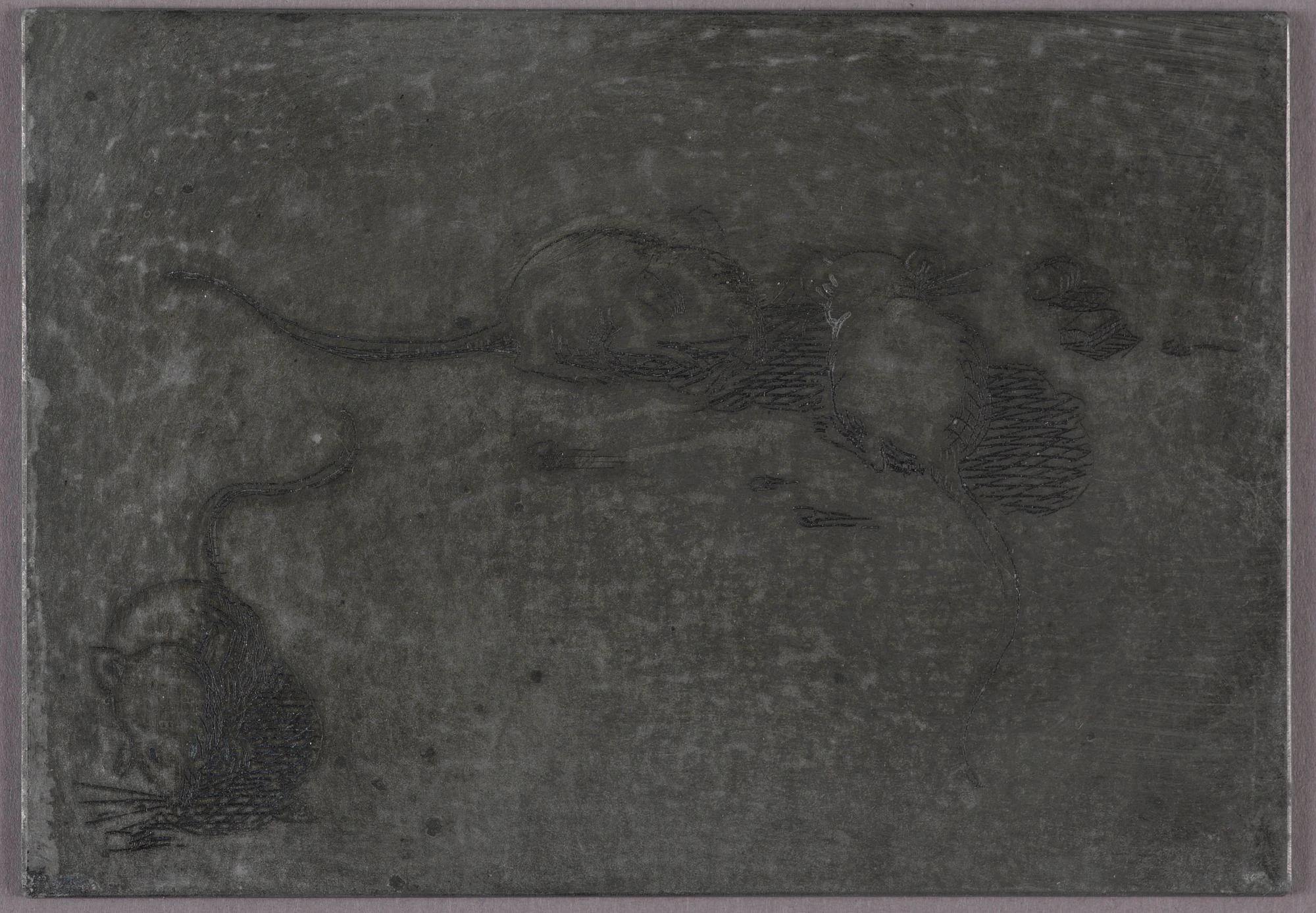 Ce 2013 11 in1