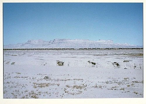 Cp 1983 185 in1