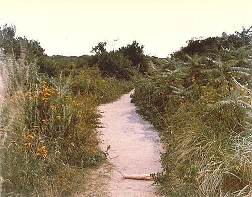 Cp 1984 106 02 in1