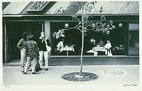 Cp 1985 99 in1