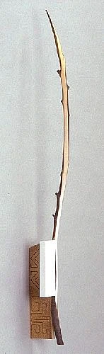 Cp 1991 30 in1