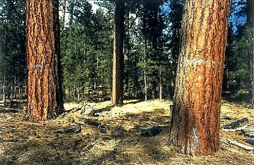 Cp 1992 69 in1