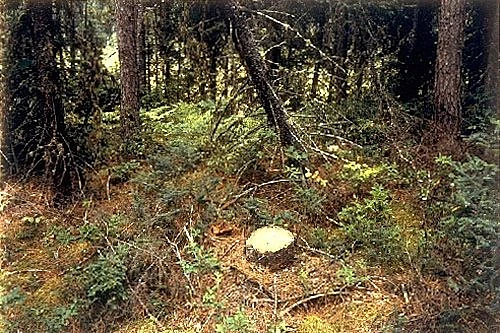 Cp 1992 70 in1