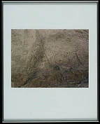 Cp 2007 45 in1