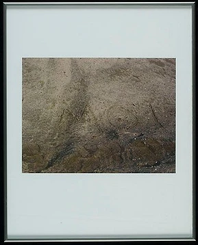 Cp 2007 45 in1