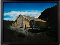 Cp 2007 25 in1