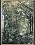 Cp 2009 36 in1