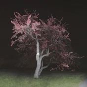 Cp 2011 21 in1