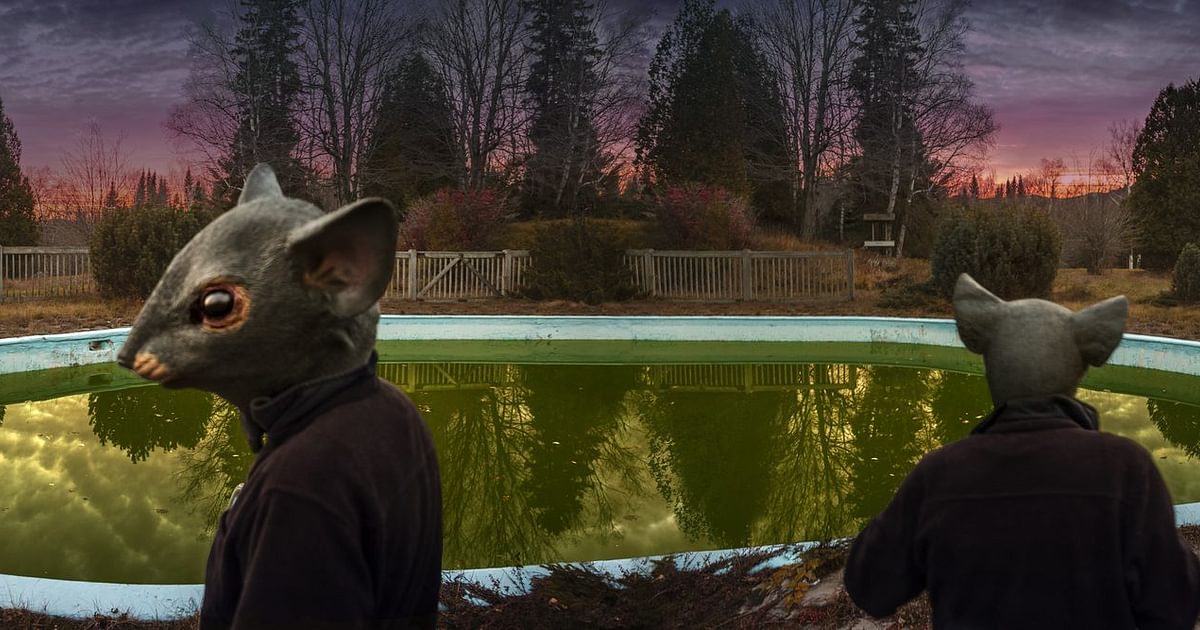 Pool Rats I | Musée national des beaux-arts du Québec - MNBAQ