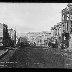 MA20 I23905820 Te Papa20 Princes Street Dunedin20full