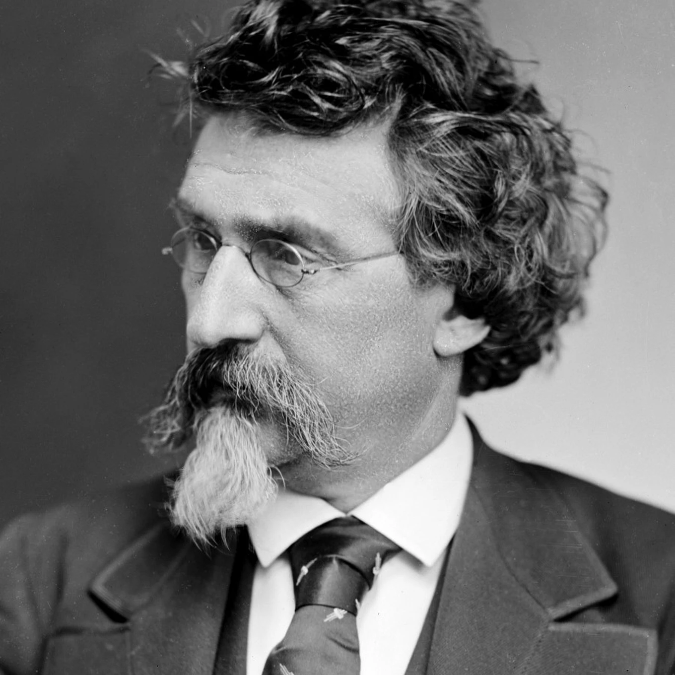 Mathew20 Brady20187520cropped