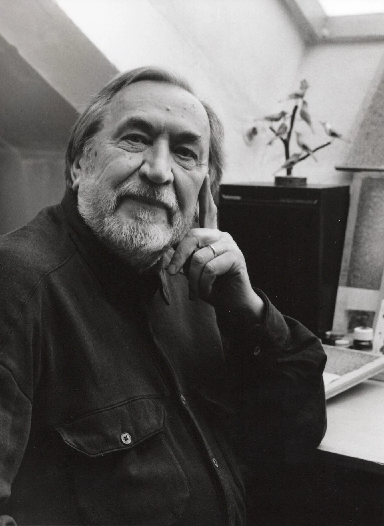 Akademick C3 BD20mal C3 ADC59920 Jan20 Kudl C3 A1 C48 Dek