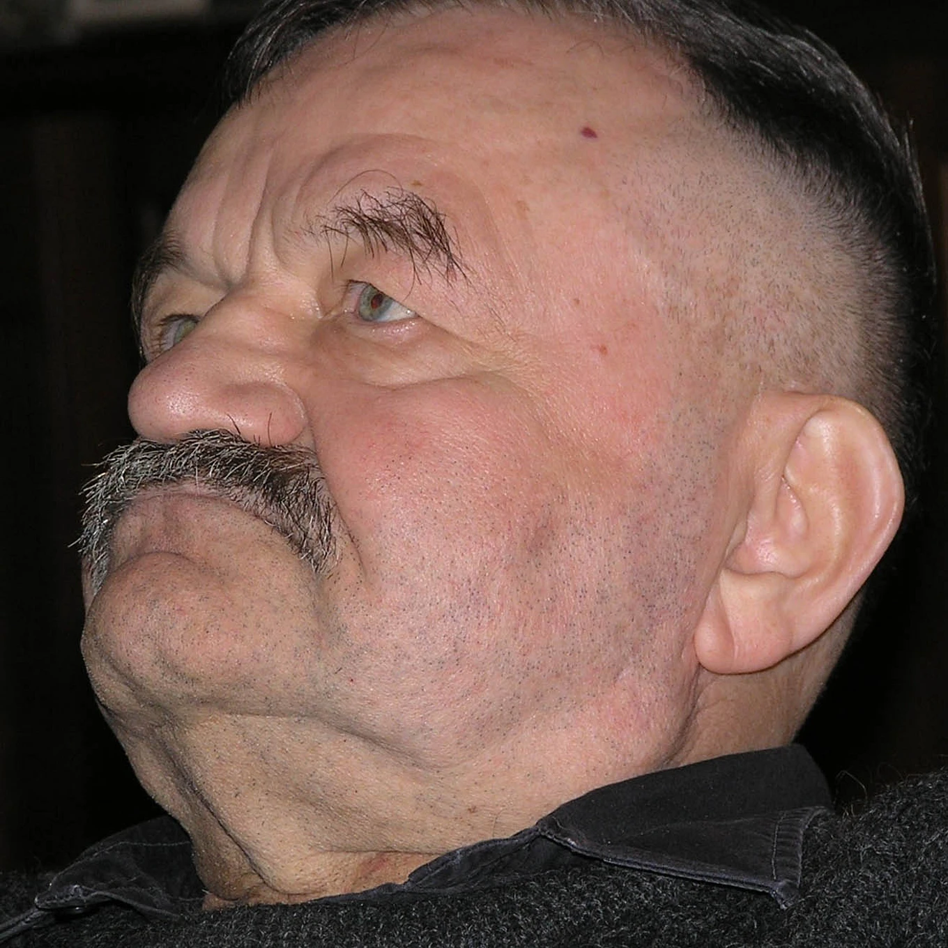 Alfred20 Hrdlicka2028 Austrian20sculptor2920200520cropped