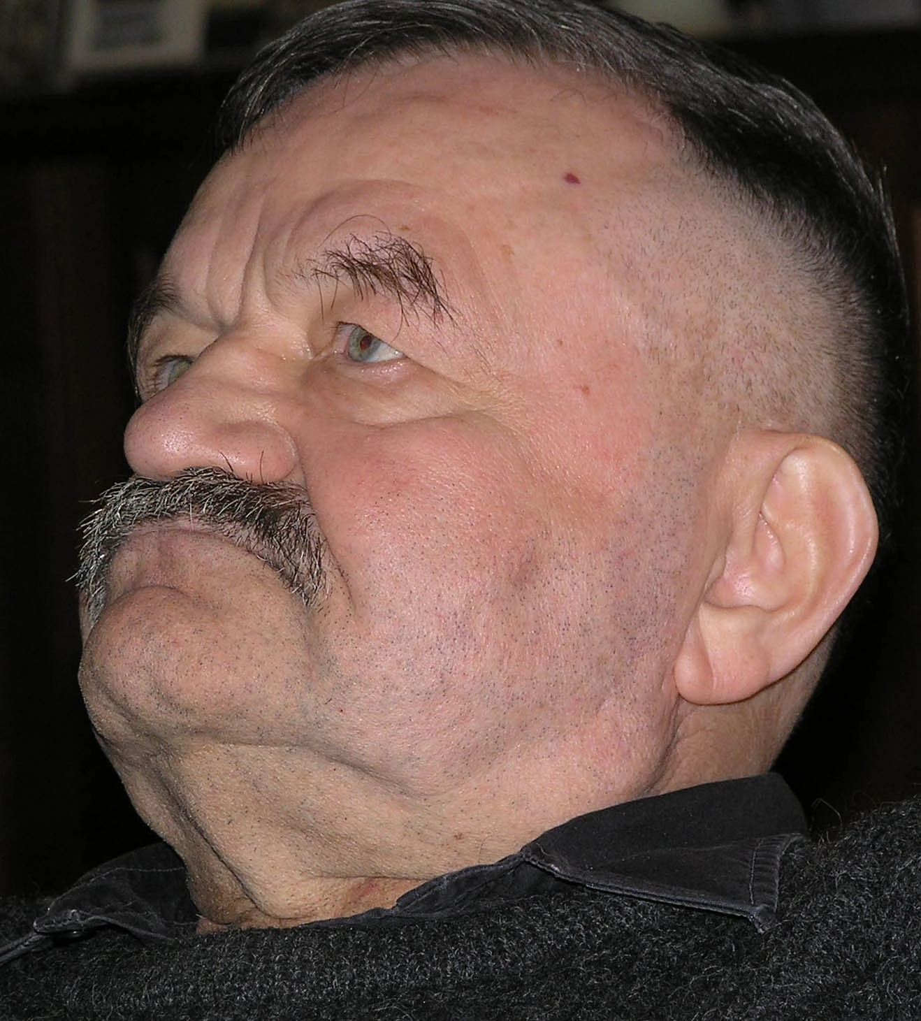 Alfred20 Hrdlicka2028 Austrian20sculptor2920200520cropped