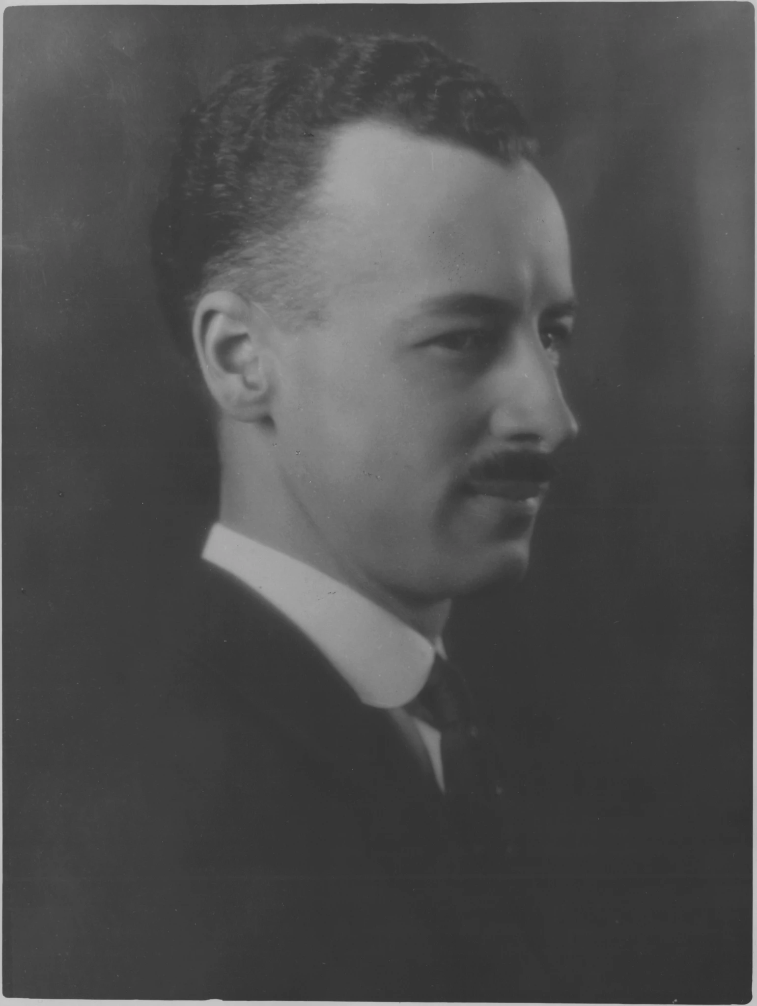 Hal20 Ross20 Perrigard2 C20 A R C A 2028 I000795129