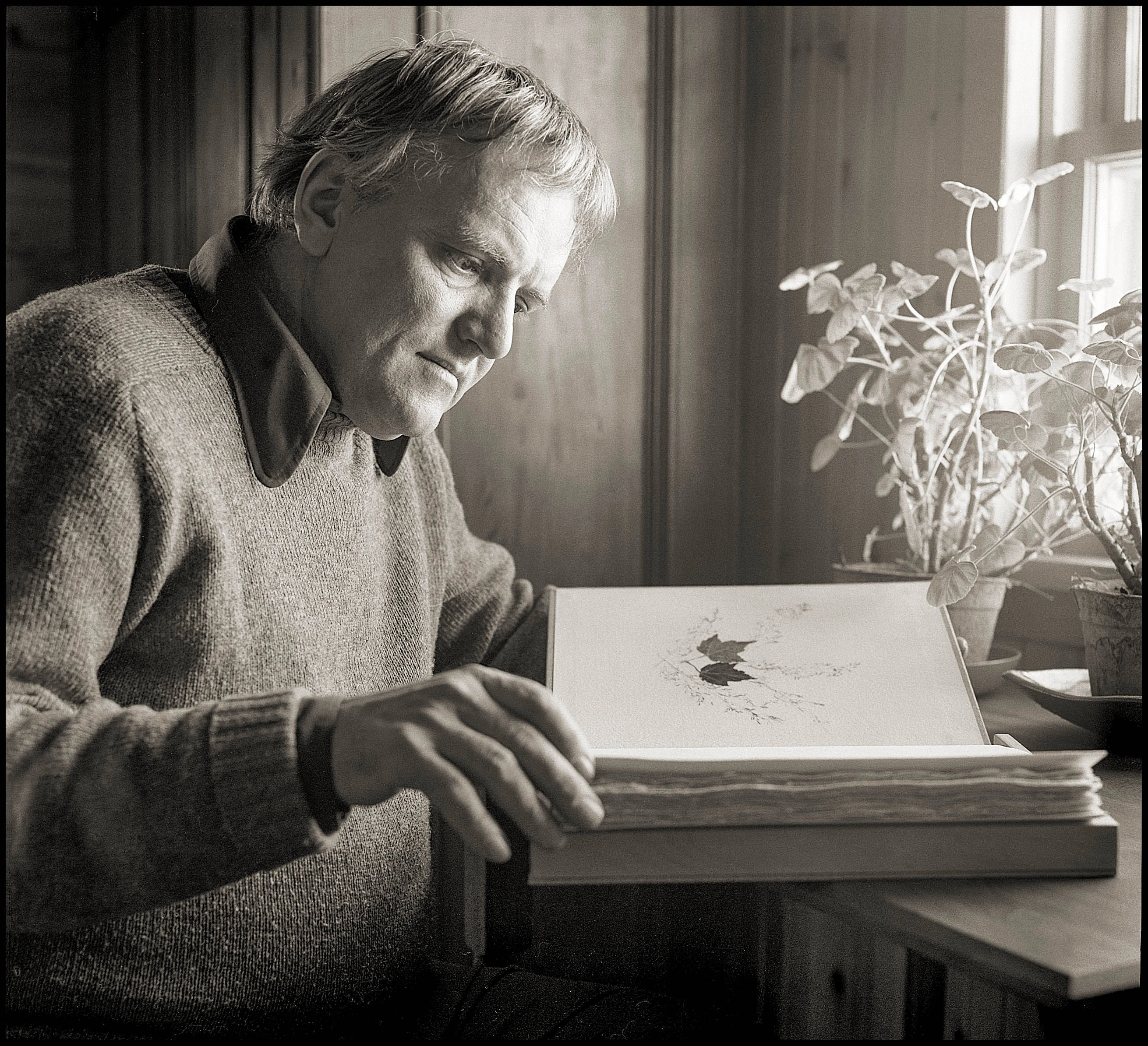 1977200316 1220spot2020151001 3